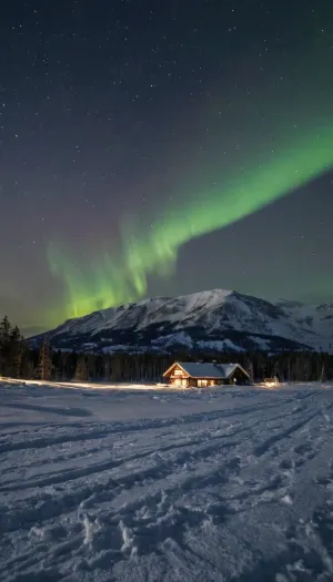 A mulher ficou admirada enquanto olhou para a cena mágica do aurora borealis dançando através do céu, lançando um brilho quente sobre tudo. O aurora borealis dançava através do céu, lançando um brilho quente sobre tudo. Ela podia